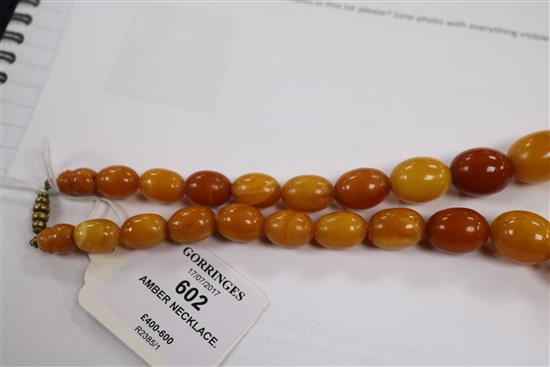 A single strand graduated oval amber necklace with gilt metal clasp, 42cm.
